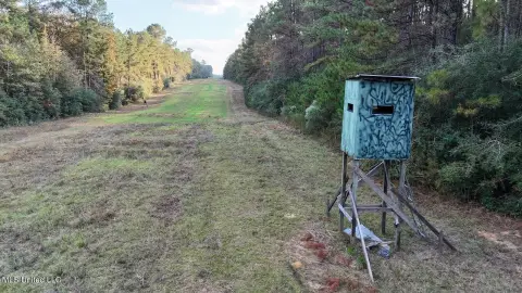 Hunting and Timber Investment Land