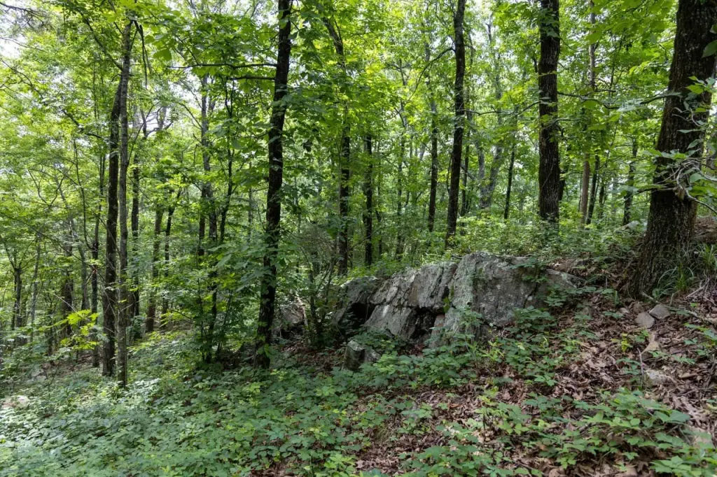 Picture 41