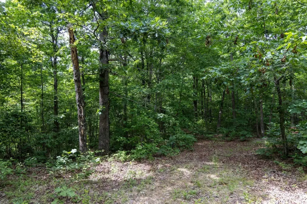 Picture 27