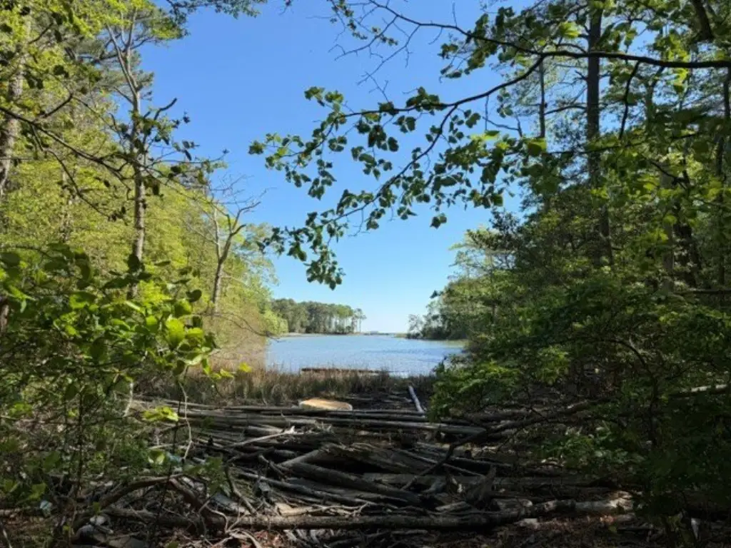 Picture 4