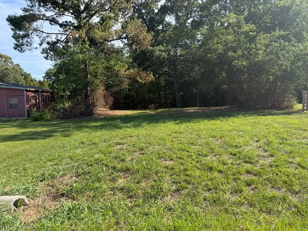 Picture 2