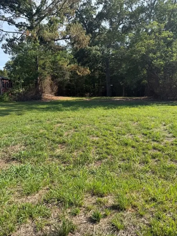 Picture 3