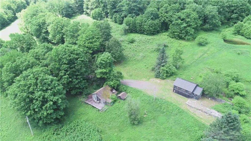 Picture 2