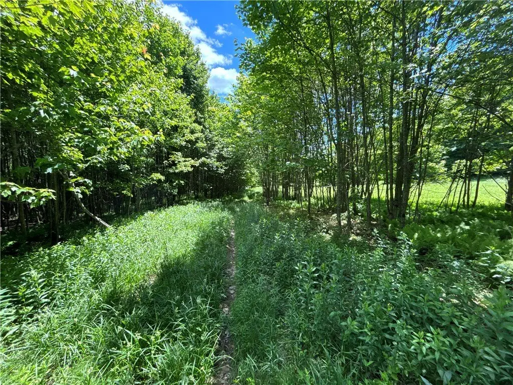 Picture 28