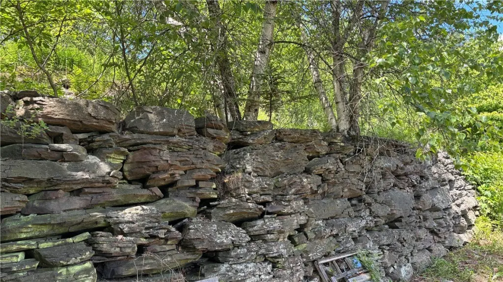 Picture 14