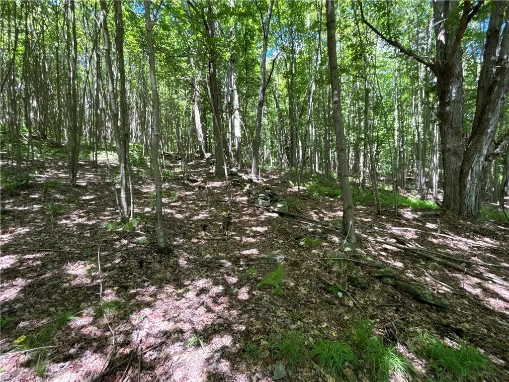 Picture 29