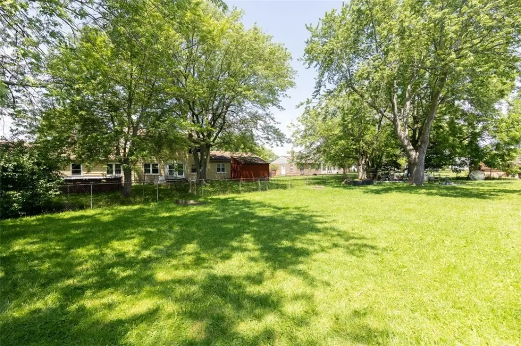 Picture 21