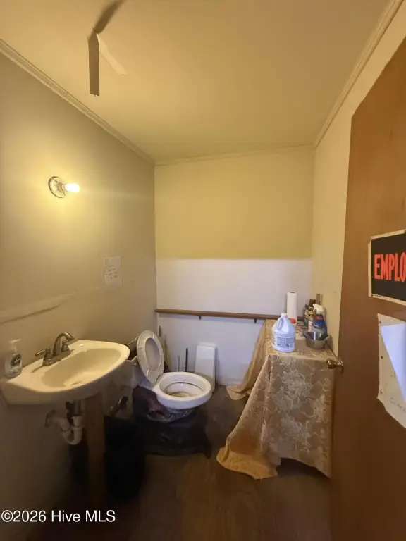Picture 22