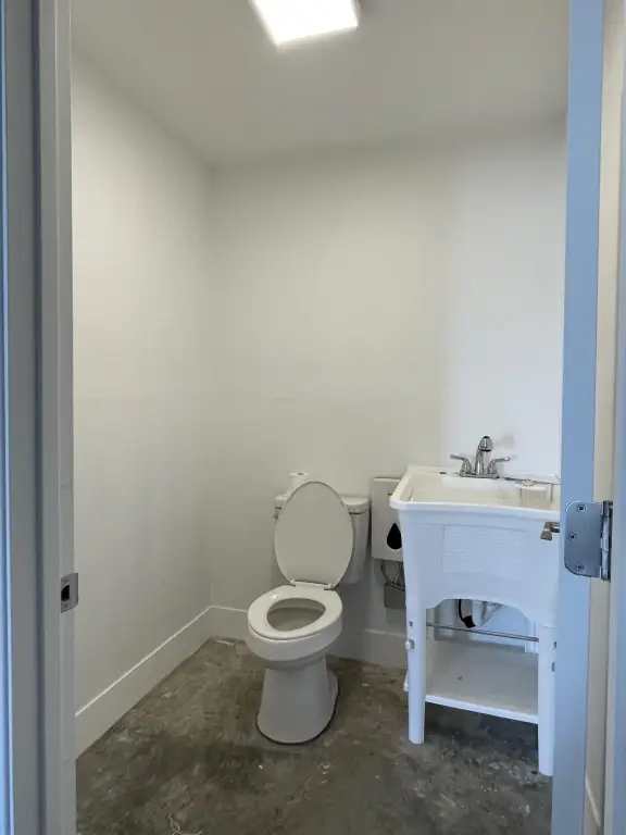Picture 5