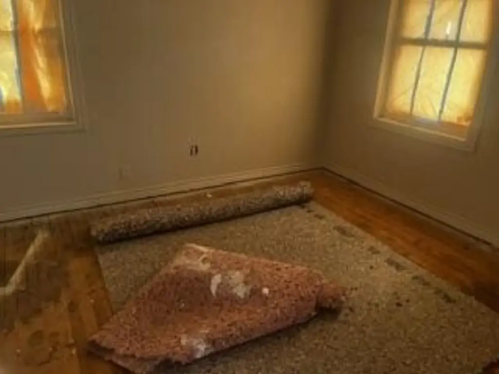 Picture 9