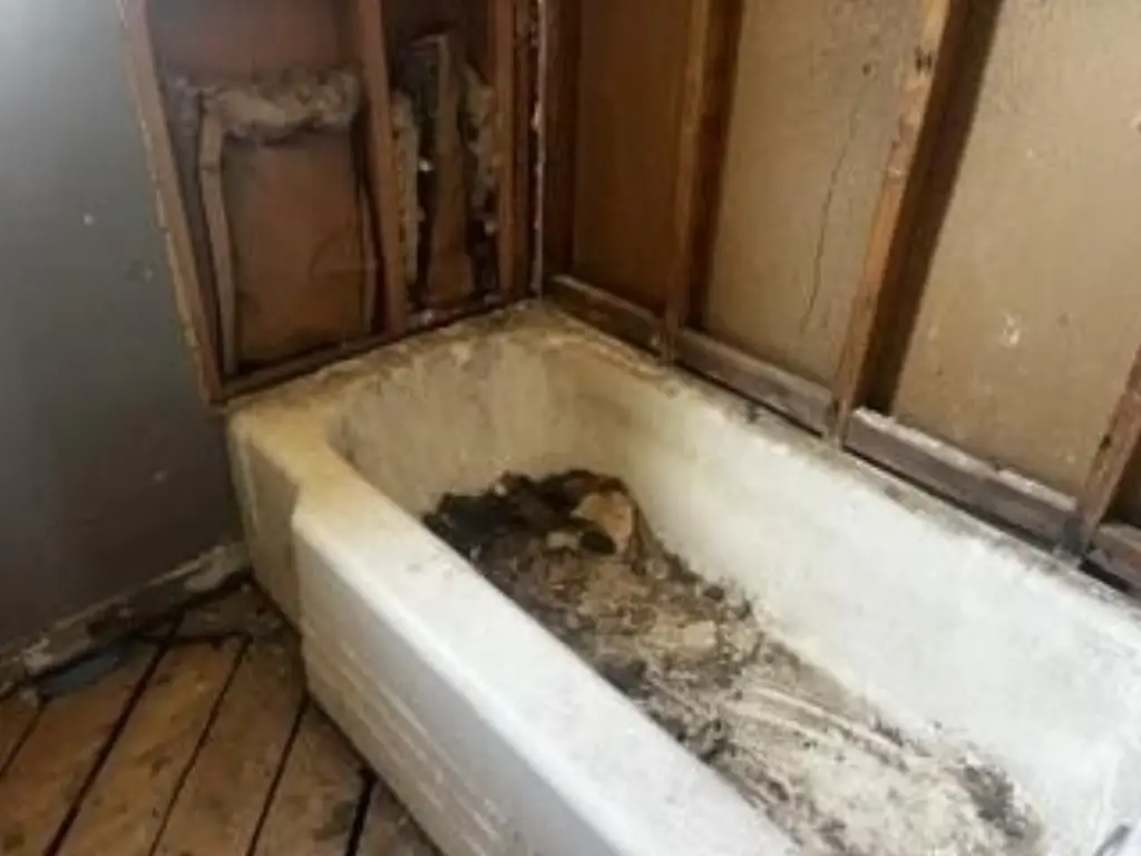Picture 15