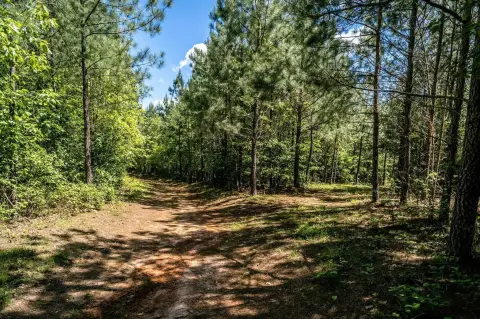 SCHUYLER, VA Building Lots