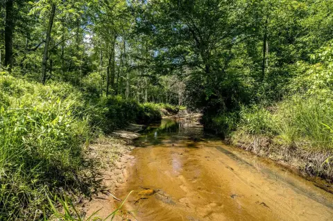 SCHUYLER, VA Building Lots