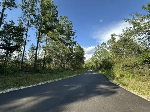 Wooded Hunting Land