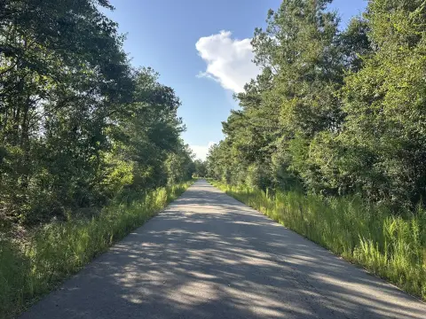 Wooded Hunting Land with Stream