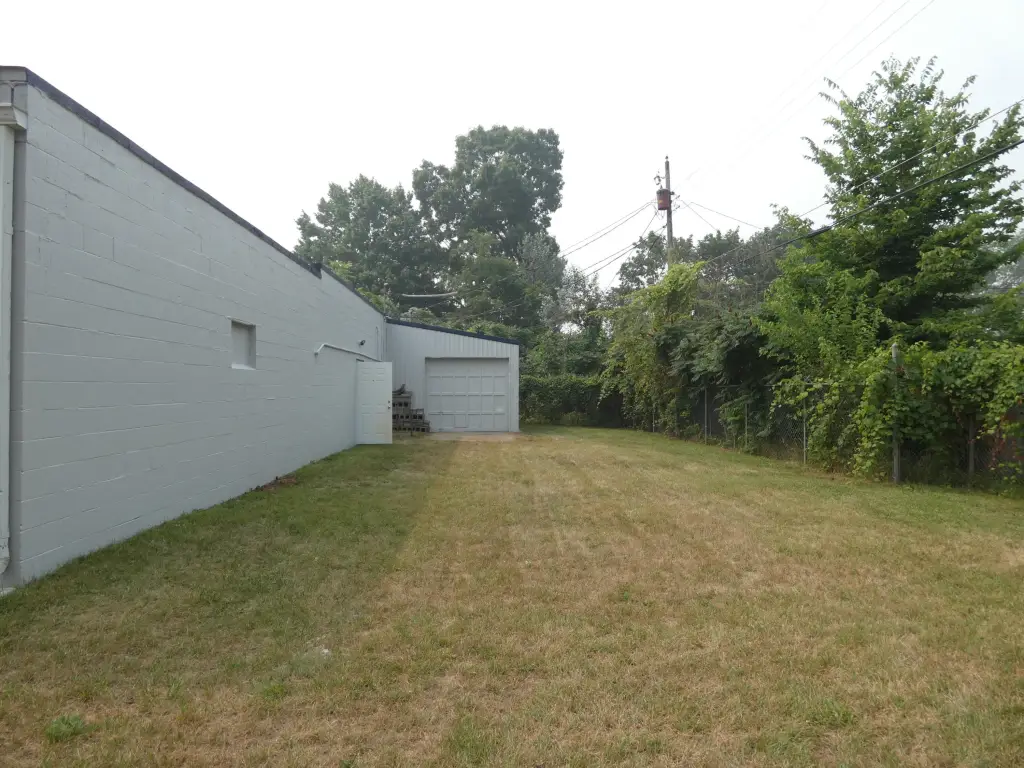 Picture 8