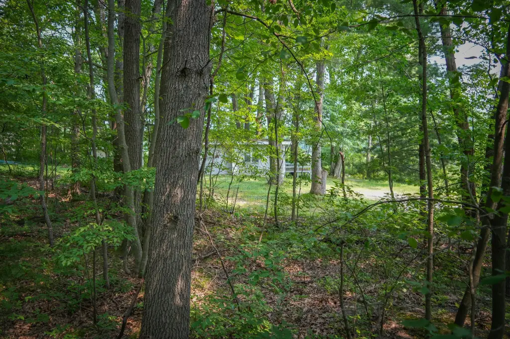 Picture 12