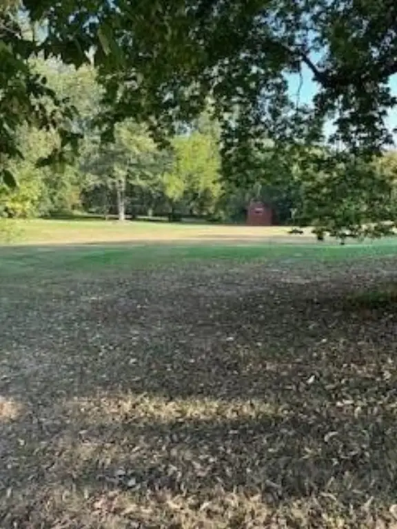 Picture 11