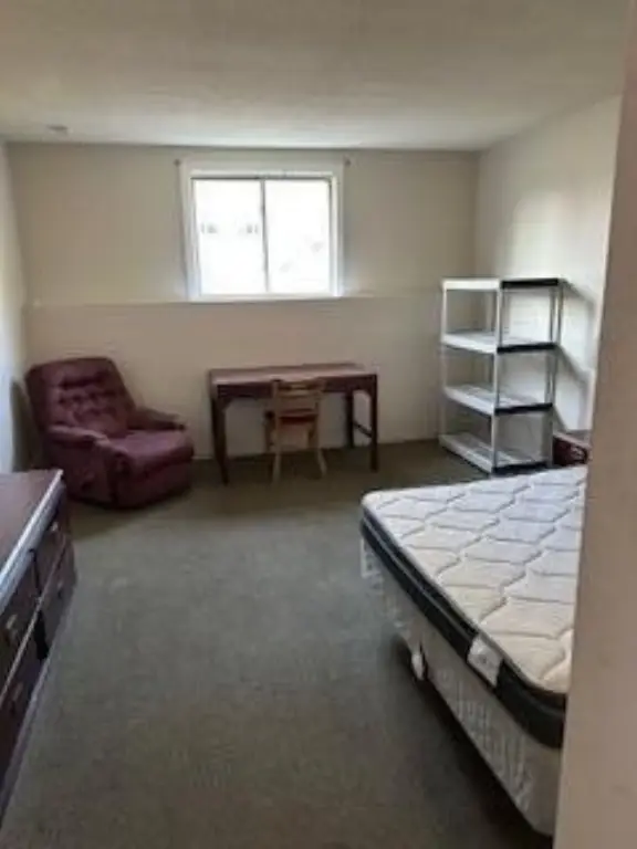 Picture 42