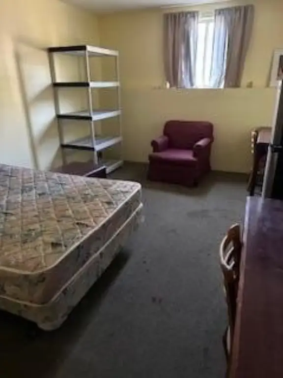 Picture 41