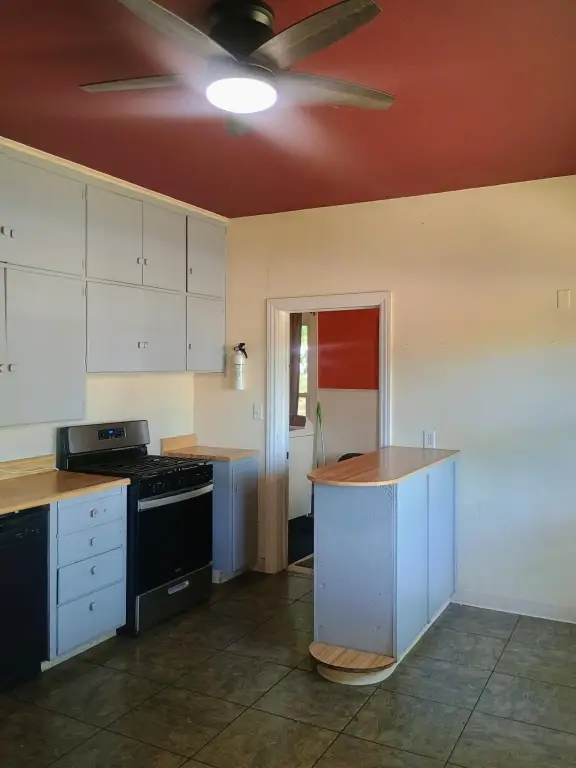 Picture 14