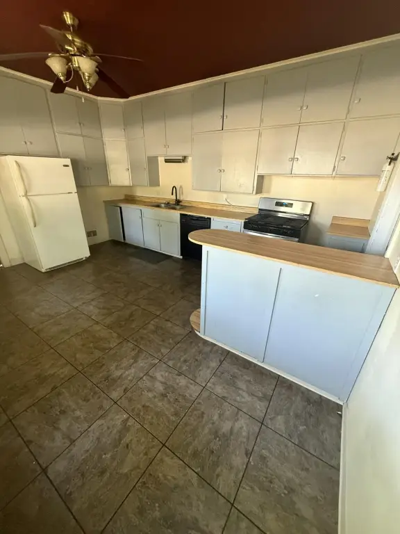 Picture 12
