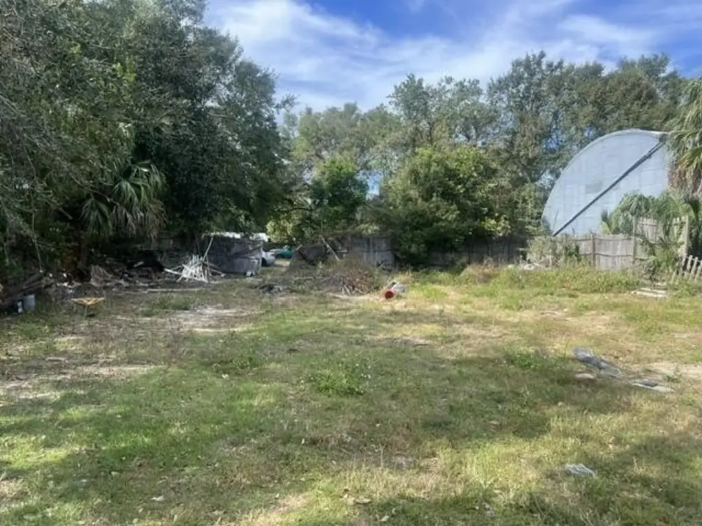 Picture 2