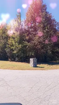 Wooded Lot Near Amenities