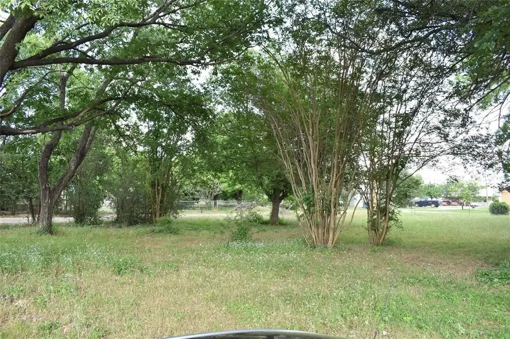 Picture 5