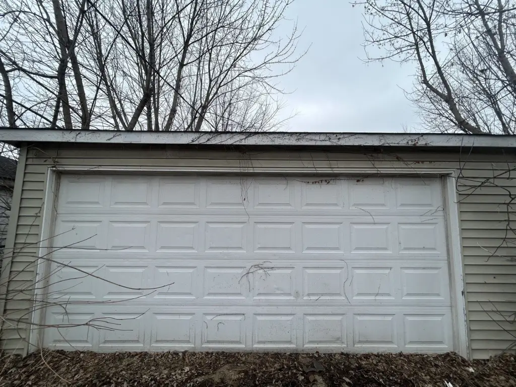 Picture 14