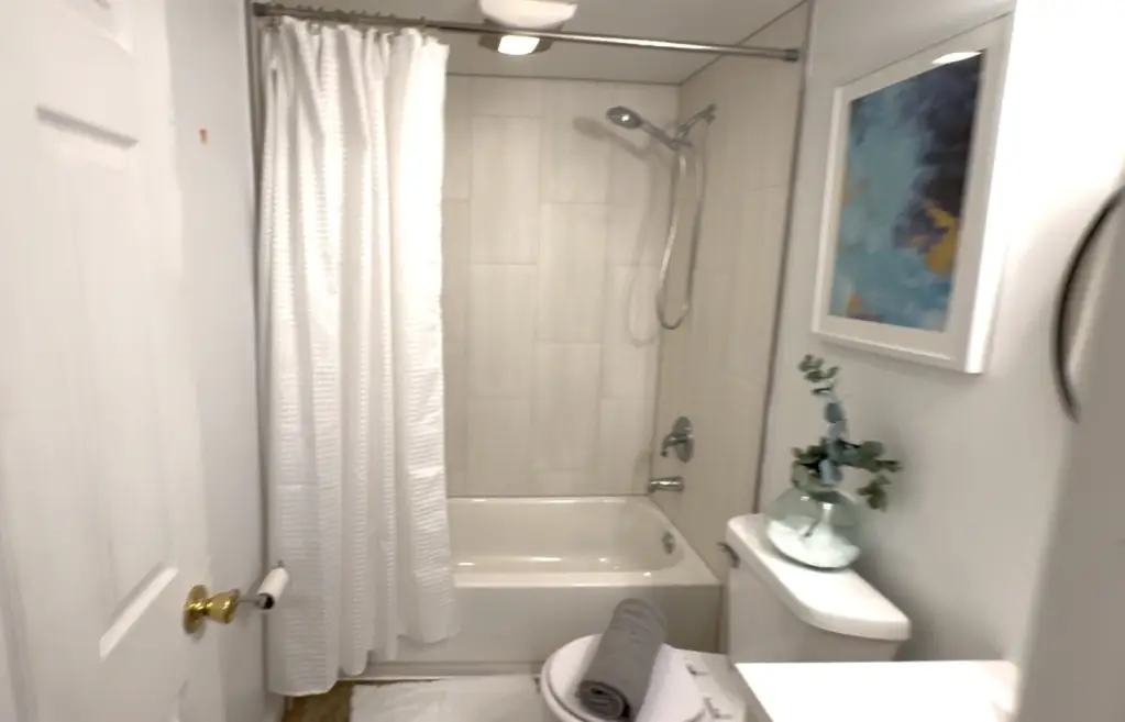 Picture 12
