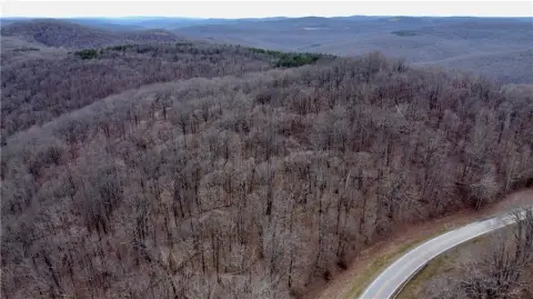 Ozark Land with Forest Access