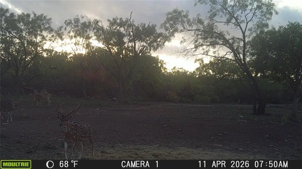 Picture 33
