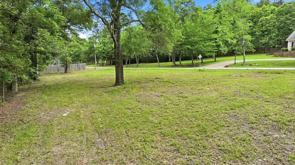 Picture 8