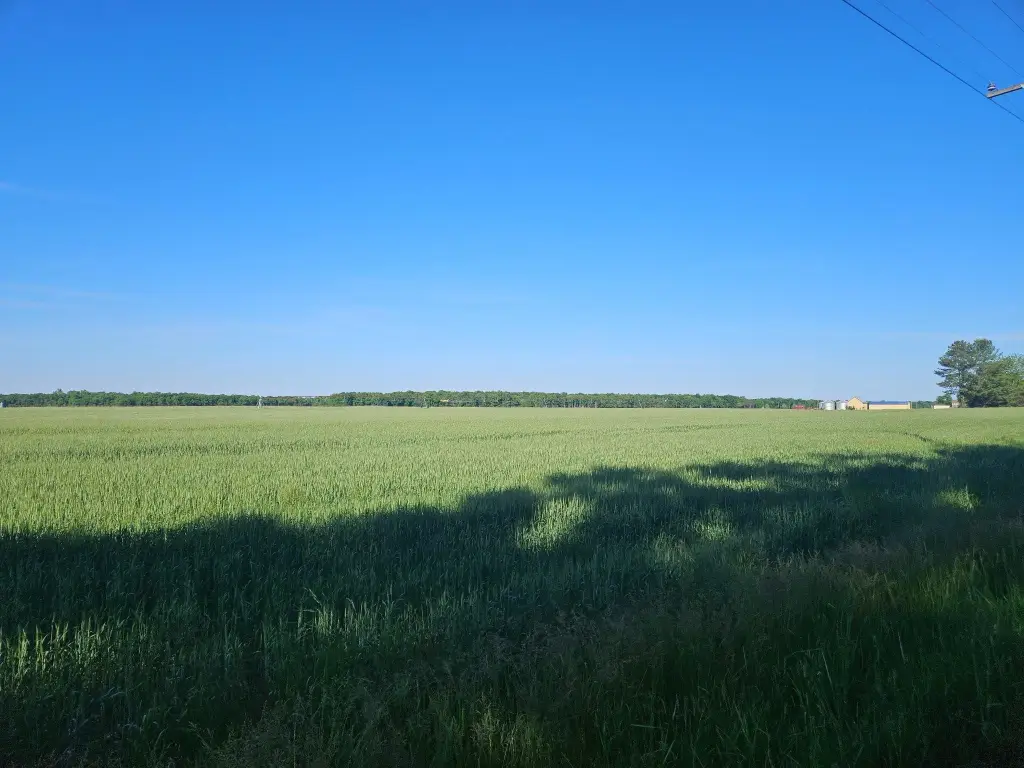 Picture 3