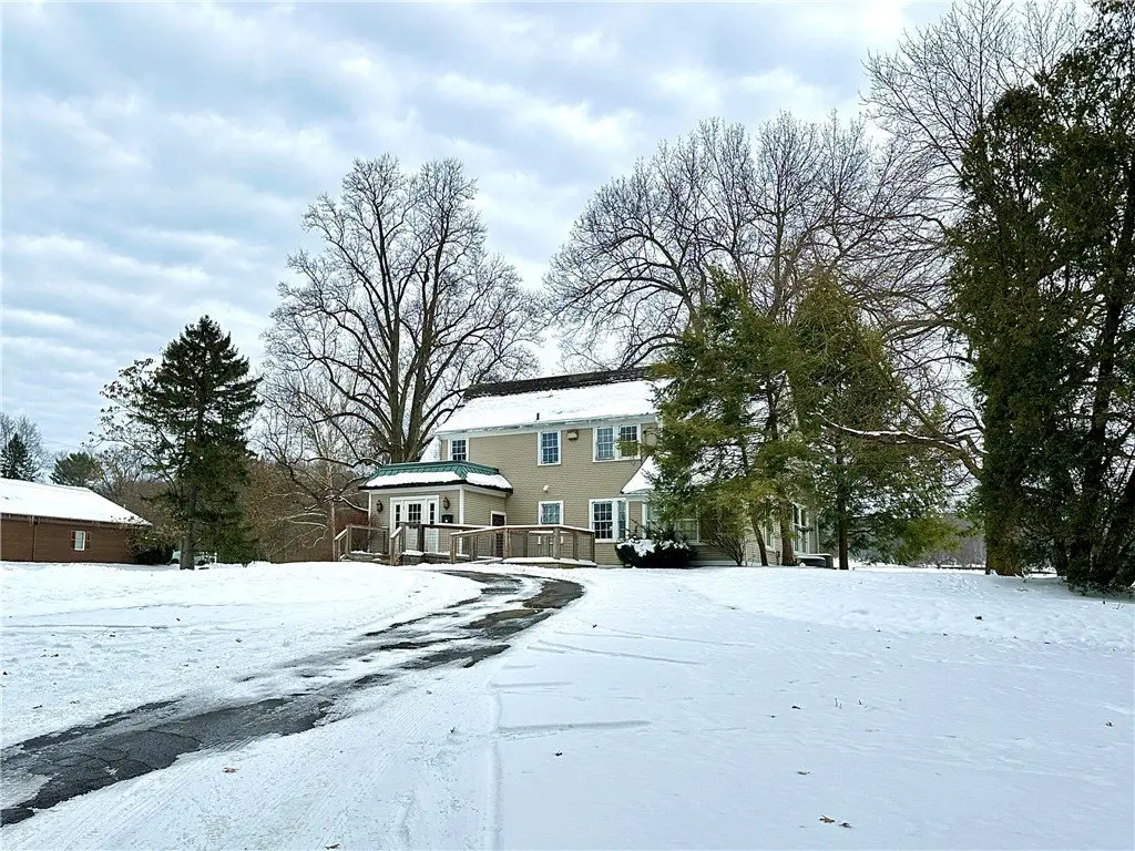 Picture 8