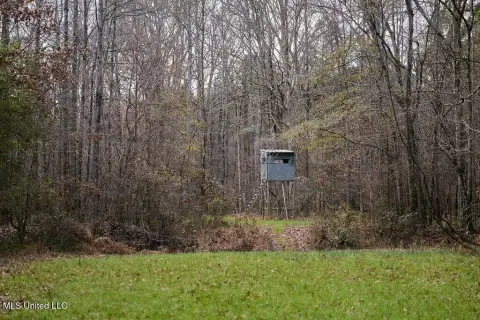 57 Acres Hunting and Timber