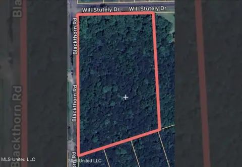 Residential Land in Wooded Area