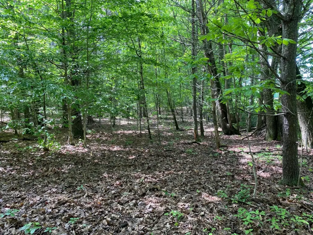 Picture 4