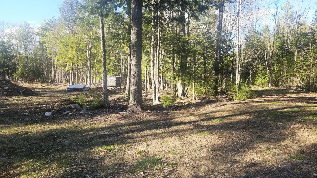 Picture 2