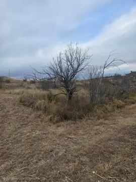 Residential Lot Near Lake Meredith
