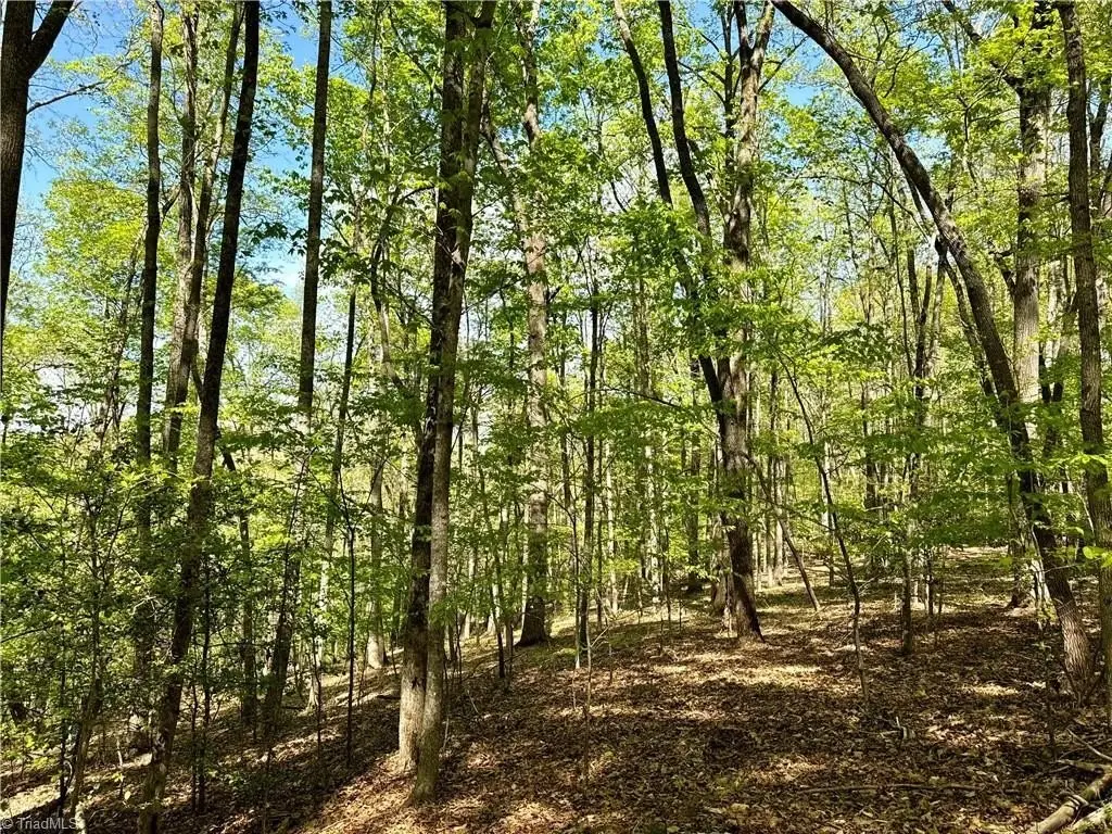 Picture 16