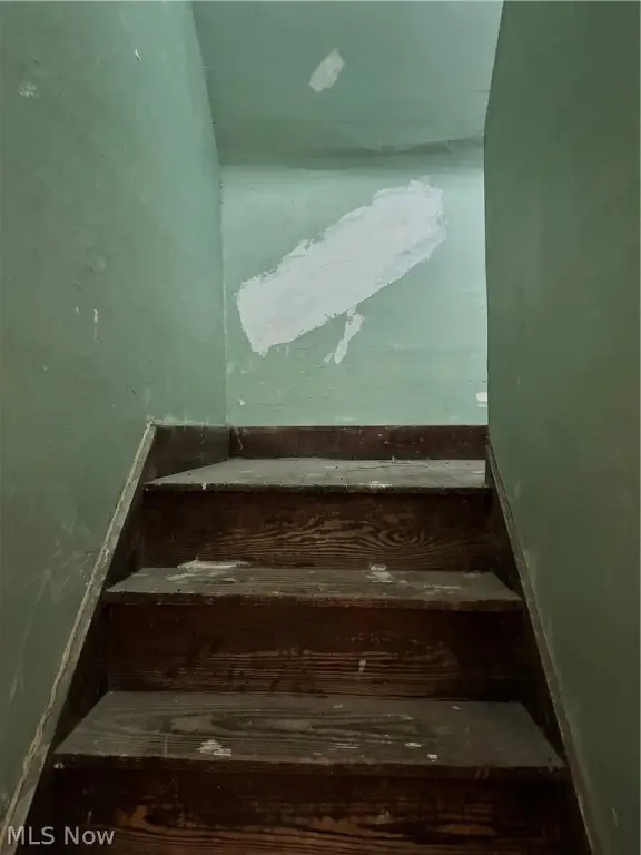 Picture 37