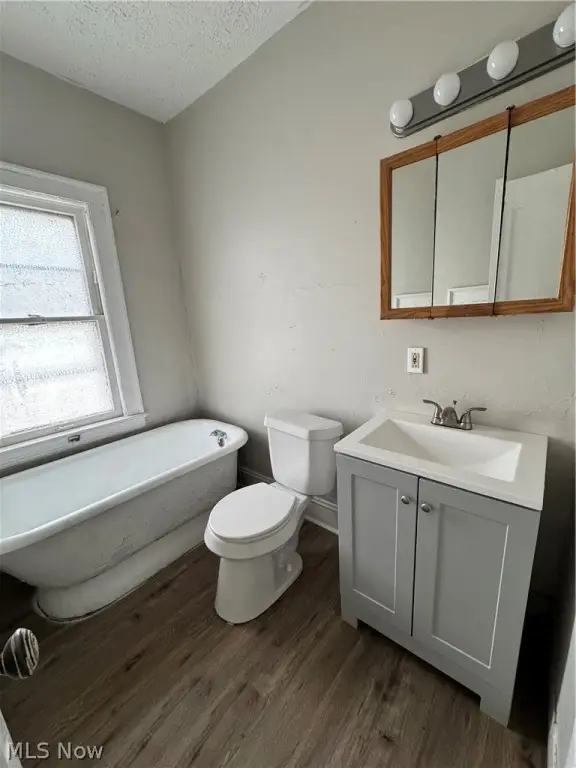 Picture 19