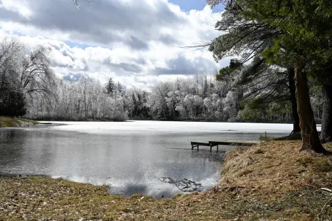 Waterfront Land on Little Miramichi