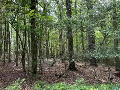 Rainbow City Land Lot