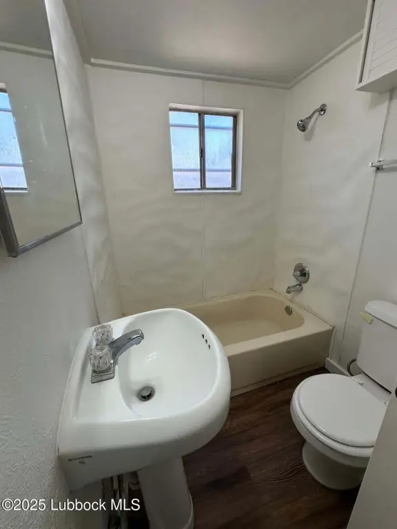 Picture 24