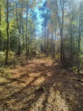 Hayes, VA Wooded Land Parcel