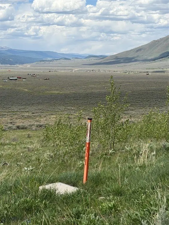 Picture 31
