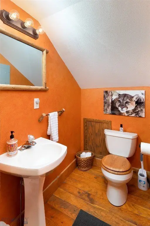 Picture 19